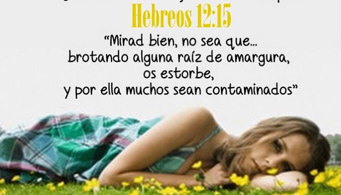 Hebreos 12:15 - 5 Pasos Para Ser Libre De La Raíz De Amargura.