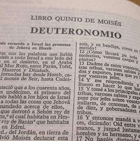 El Libro De Deuteronomio: Estructura, Discurso Y Propósito