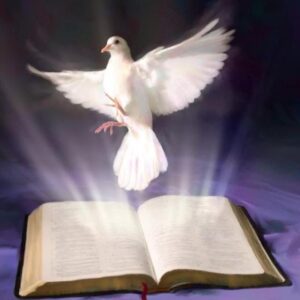 Condiciones del creyente para ver la Manifestación del Espíritu Santo